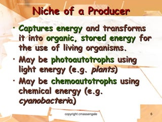 6
Niche of a ProducerNiche of a Producer
• Captures energyCaptures energy and transformsand transforms
it intoit into organic, stored energyorganic, stored energy forfor
the use of living organisms.the use of living organisms.
• May beMay be photoautotrophsphotoautotrophs usingusing
light energy (e.g.light energy (e.g. plantsplants))
• May beMay be chemoautotrophschemoautotrophs usingusing
chemical energy (e.g.chemical energy (e.g.
cyanobactericyanobacteria)a)
copyright cmassengale
 