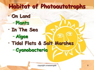 8
• On LandOn Land
– PlantsPlants
• In The SeaIn The Sea
– AlgaeAlgae
• Tidal Flats & Salt MarshesTidal Flats & Salt Marshes
– CyanobacteriaCyanobacteria
Habitat of PhotoautotrophsHabitat of Photoautotrophs
copyright cmassengale
 