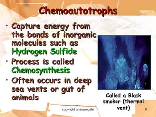 9
ChemoautotrophsChemoautotrophs
• Capture energy fromCapture energy from
the bonds of inorganicthe bonds of inorganic
molecules such asmolecules such as
Hydrogen SulfideHydrogen Sulfide
• Process is calledProcess is called
ChemosynthesisChemosynthesis
• Often occurs in deepOften occurs in deep
sea vents or gut ofsea vents or gut of
animalsanimals Called a BlackCalled a Black
smoker (thermalsmoker (thermal
vent)vent)copyright cmassengale
 