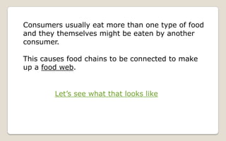 Energy Flow And Succession