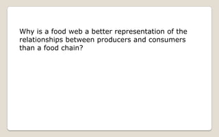 Energy Flow And Succession