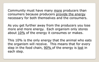 Energy Flow And Succession
