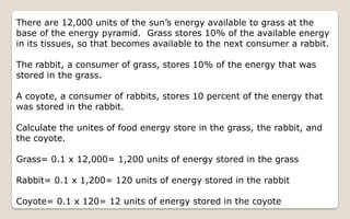 Energy Flow And Succession