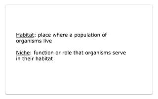 Energy Flow And Succession