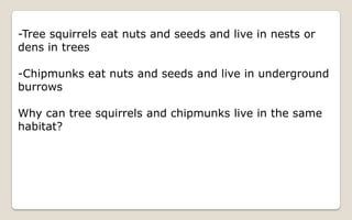 Energy Flow And Succession