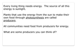 Energy Flow And Succession