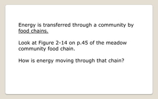 Energy Flow And Succession