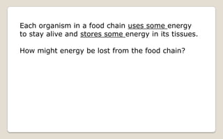 Energy Flow And Succession