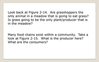 Energy Flow And Succession