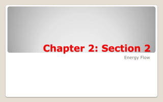Chapter 2: Section 2
               Energy Flow
 