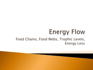 Food Chains, Food Webs, Trophic Levels,
                           Energy Loss
 