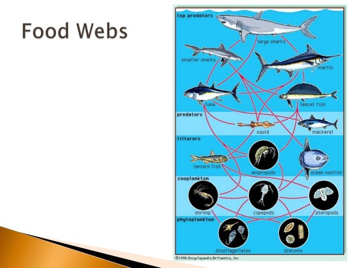 Energy flow (bd mod)
