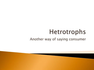 Another way of saying consumer
 