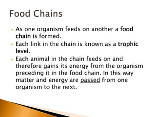   As one organism feeds on another a food
    chain is formed.
   Each link in the chain is known as a trophic
    level.
   Each animal in the chain feeds on and
    therefore gains its energy from the organism
    preceding it in the food chain. In this way
    matter and energy are passed from one
    organism to the next.
 
