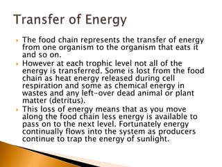    The food chain represents the transfer of energy
    from one organism to the organism that eats it
    and so on.
   However at each trophic level not all of the
    energy is transferred. Some is lost from the food
    chain as heat energy released during cell
    respiration and some as chemical energy in
    wastes and any left-over dead animal or plant
    matter (detritus).
   This loss of energy means that as you move
    along the food chain less energy is available to
    pass on to the next level. Fortunately energy
    continually flows into the system as producers
    continue to trap the energy of sunlight.
 