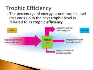    The percentage of energy at one trophic level
    that ends up in the next trophic level is
    referred to as trophic efficiency.

 