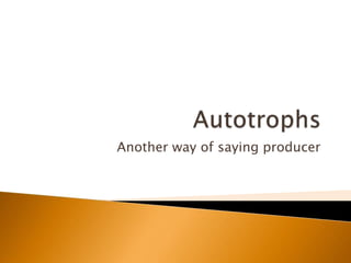 Another way of saying producer
 