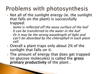    Not all of the sunlight energy (ie. the sunlight
    that falls on the plant) is successfully
    trapped:
    ◦ Some is reflected off the waxy surface of the leaf
    ◦ It can be transferred to the water in the leaf
    ◦ Or it may be the wrong wavelength of light and
     can’t be absorbed by the chlorophyll in each plant
     cell.
   Overall a plant traps only about 2% of the
    sunlight that falls on it.
   The amount of energy that does get trapped
    (in glucose molecules) is called the gross
    primary productivity of the plant .
 