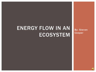 By: Steven Cooper Energy flow in an ecosystem 