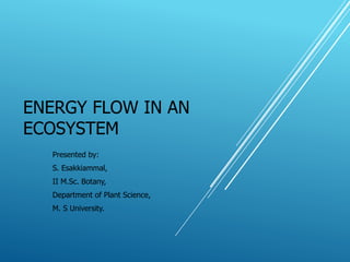 ENERGY FLOW IN AN
ECOSYSTEM
Presented by:
S. Esakkiammal,
II M.Sc. Botany,
Department of Plant Science,
M. S University.
 