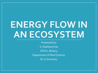 ENERGY FLOW IN
AN ECOSYSTEM
Presented by:
S. Esakkiammal,
II M.Sc. Botany,
Department of Plant Science,
M. S University.
 