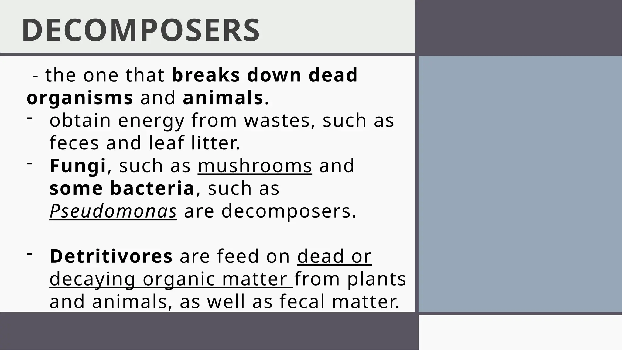 DECOMPOSERS
- the one that breaks down dead
organisms and animals.
- obtain energy from wastes, such as
feces and leaf litter.
- Fungi, such as mushrooms and
some bacteria, such as
Pseudomonas are decomposers.
- Detritivores are feed on dead or
decaying organic matter from plants
and animals, as well as fecal matter.
 
