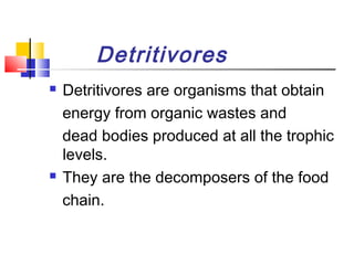 Detritivores
 Detritivores are organisms that obtain
energy from organic wastes and
dead bodies produced at all the trophic
levels.
 They are the decomposers of the food
chain.
 