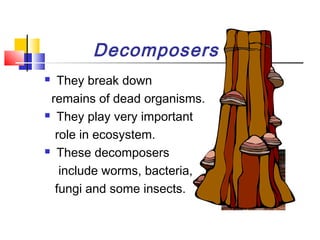 Decomposers
 They break down
remains of dead organisms.
 They play very important
role in ecosystem.
 These decomposers
include worms, bacteria,
fungi and some insects.
 
