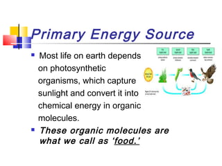 Primary Energy Source
 Most life on earth depends
on photosynthetic
organisms, which capture
sunlight and convert it into
chemical energy in organic
molecules.
 These organic molecules are
what we call as ‘food.’
 