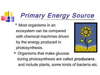 Primary Energy Source
* Most organisms in an
ecosystem can be compared
with chemical machines driven
by the energy produced in
photosynthesis.
 Organisms that make glucose
during photosynthesis are called producers.
and include plants, some kinds of bacteria etc.
 