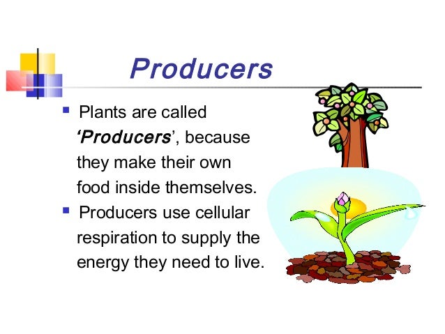 what daw do producers use what daw do producers use