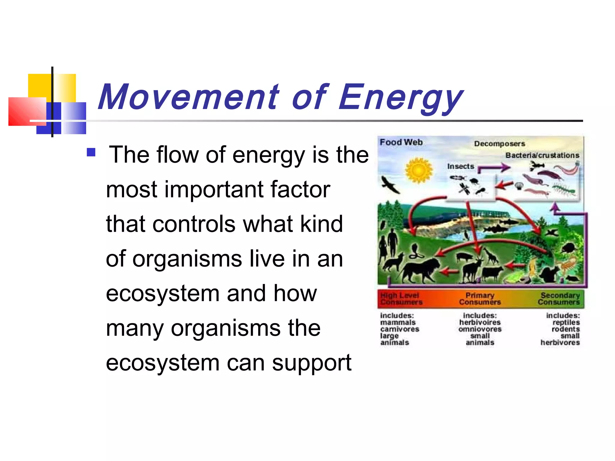 Energy flow in ecosystem | PPT | Environment | Science
