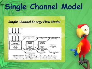 Energy flow in ecosystem | PPT