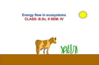 1
Energy flow in ecosystems
CLASS- B.Sc. II SEM- IV
 