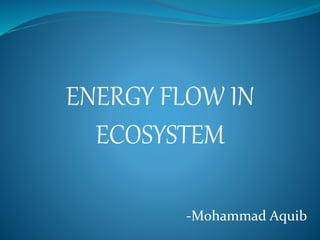 ENERGY FLOW IN
ECOSYSTEM
-Mohammad Aquib
 
