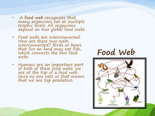 Food Web
• A food web recognizes that
many organisms eat at multiple
trophic levels. All organisms
depend on two global food webs.
• Food webs are interconnected.
How are these two webs
interconnected? Birds or bears
that live on land may eat fish,
which connects the two food
webs.
• Humans are an important part
of both of these food webs; we
are at the top of a food web,
since no one eats us that means
that we are top predators.
 
