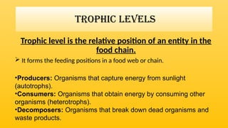 Energy flow in ecosystem.importance , laws of thermodynamics in ...