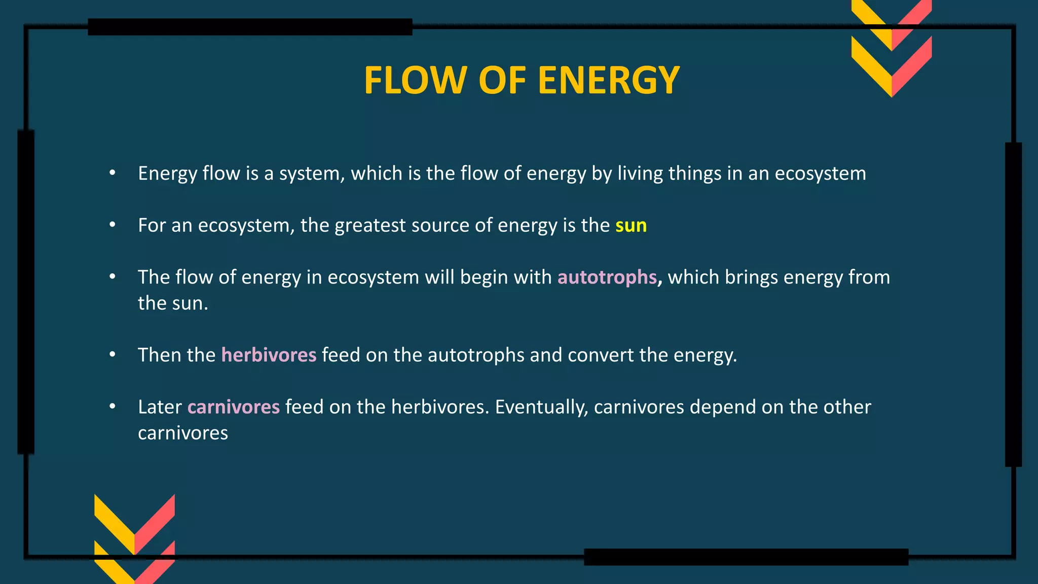 FLOW OF ENERGY
• Energy flow is a system, which is the flow of energy by living things in an ecosystem
• For an ecosystem, the greatest source of energy is the sun
• The flow of energy in ecosystem will begin with autotrophs, which brings energy from
the sun.
• Then the herbivores feed on the autotrophs and convert the energy.
• Later carnivores feed on the herbivores. Eventually, carnivores depend on the other
carnivores
 