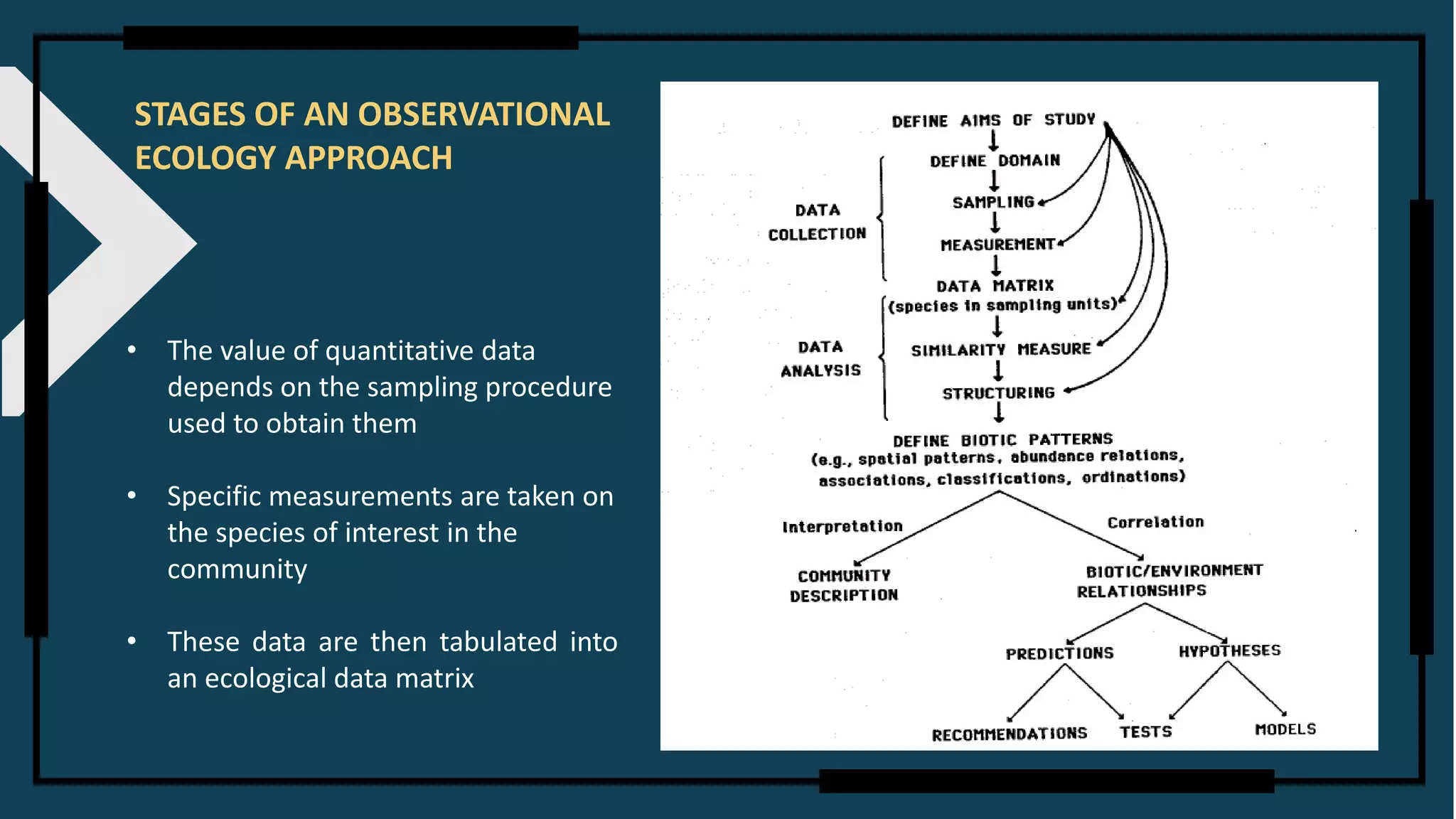 STAGES OF AN OBSERVATIONAL
ECOLOGY APPROACH
• The value of quantitative data
depends on the sampling procedure
used to obtain them
• Specific measurements are taken on
the species of interest in the
community
• These data are then tabulated into
an ecological data matrix
 
