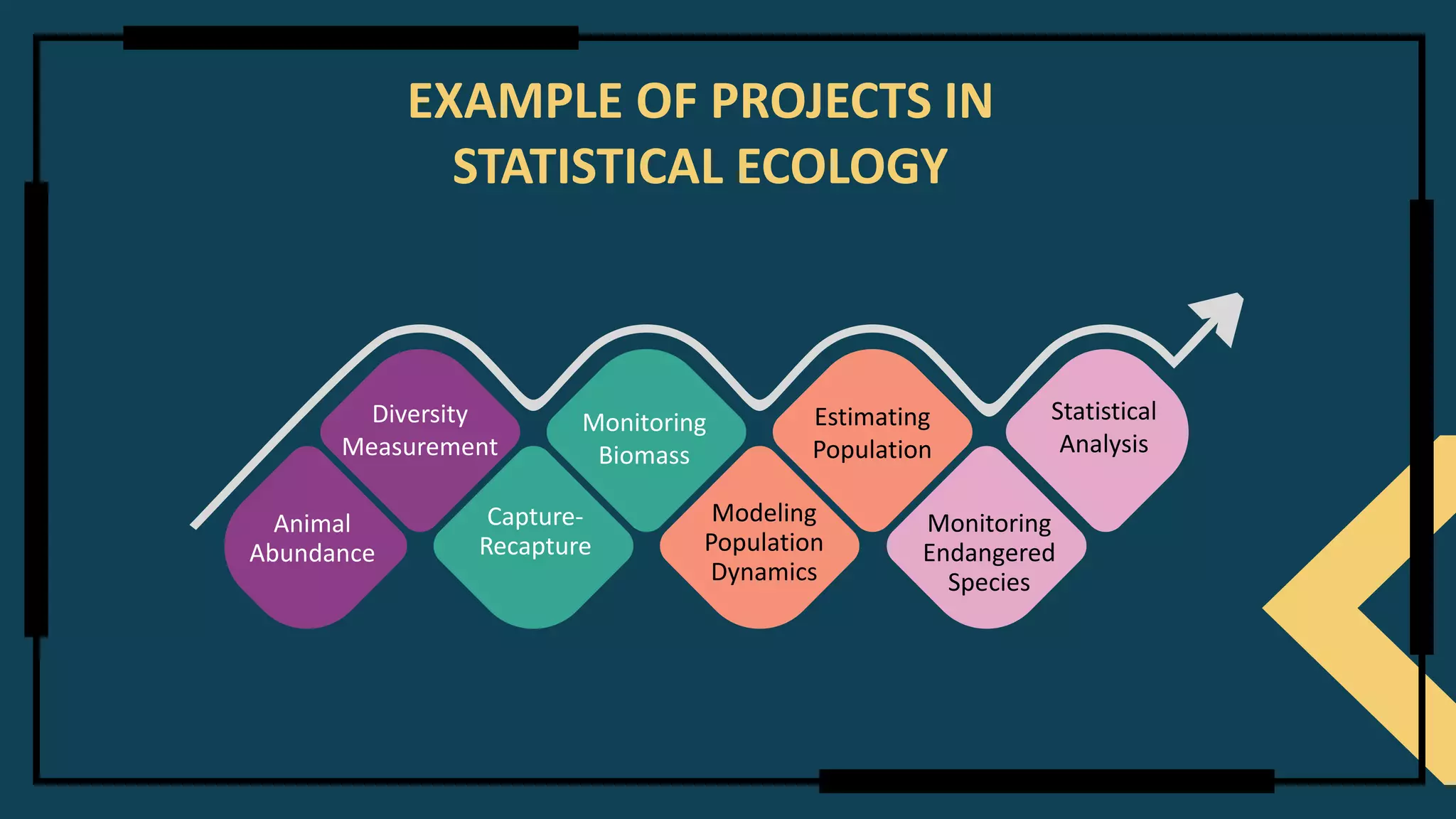 EXAMPLE OF PROJECTS IN
STATISTICAL ECOLOGY
Modeling
Population
Dynamics
Capture-
Recapture
Animal
Abundance
Monitoring
Endangered
Species
Diversity
Measurement
Monitoring
Biomass
Estimating
Population
Statistical
Analysis
 