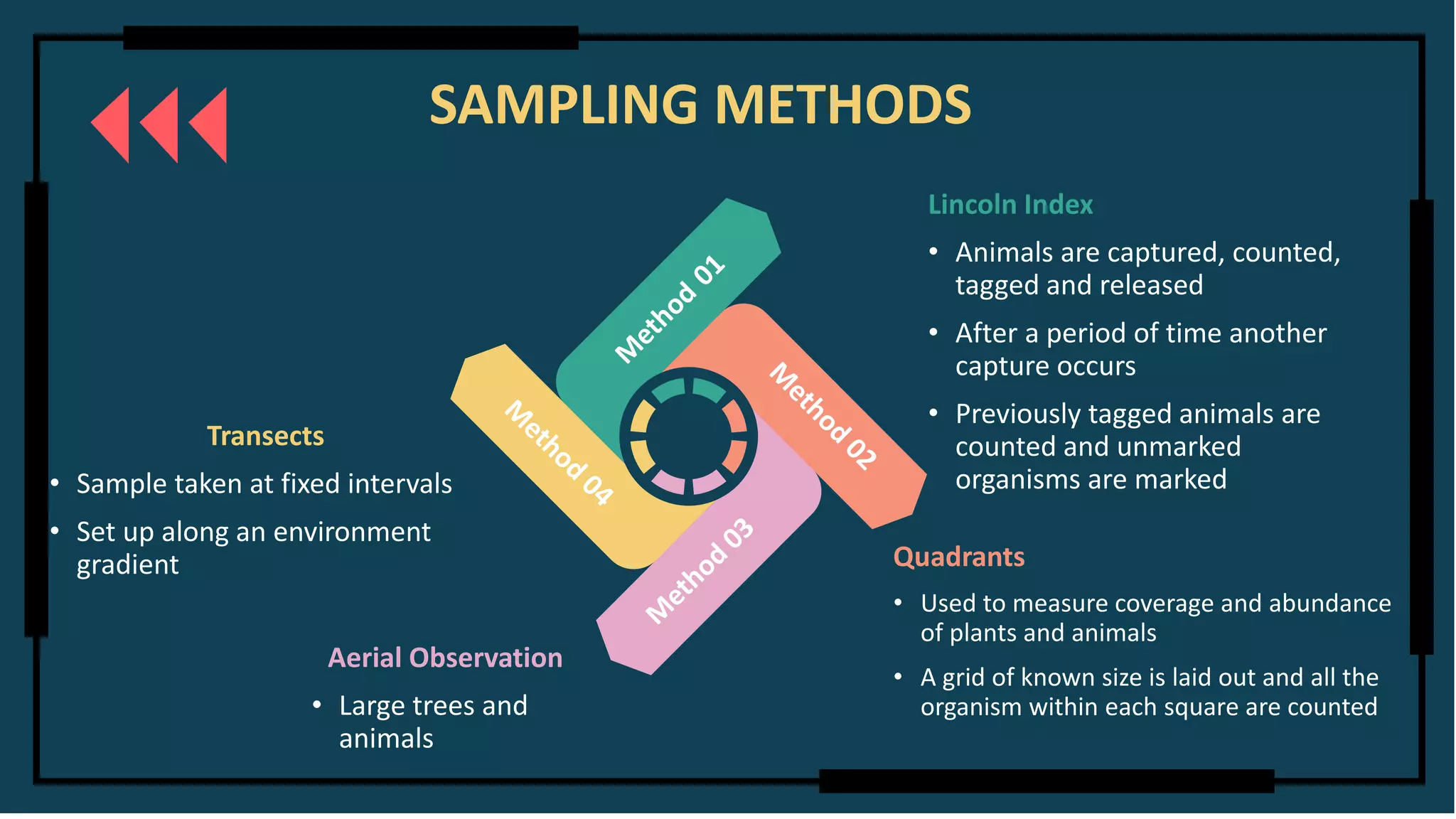 Lincoln Index
• Animals are captured, counted,
tagged and released
• After a period of time another
capture occurs
• Previously tagged animals are
counted and unmarked
organisms are marked
Aerial Observation
• Large trees and
animals
Transects
• Sample taken at fixed intervals
• Set up along an environment
gradient Quadrants
• Used to measure coverage and abundance
of plants and animals
• A grid of known size is laid out and all the
organism within each square are counted
SAMPLING METHODS
 