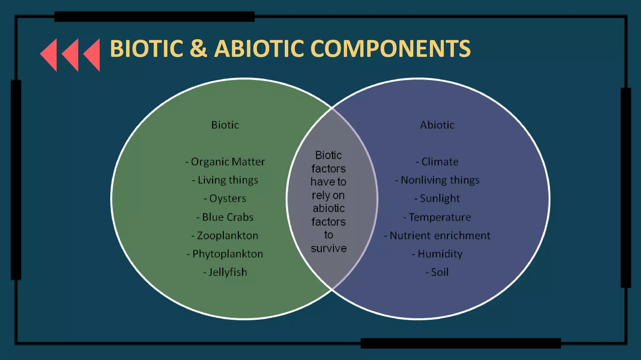 BIOTIC & ABIOTIC COMPONENTS
 