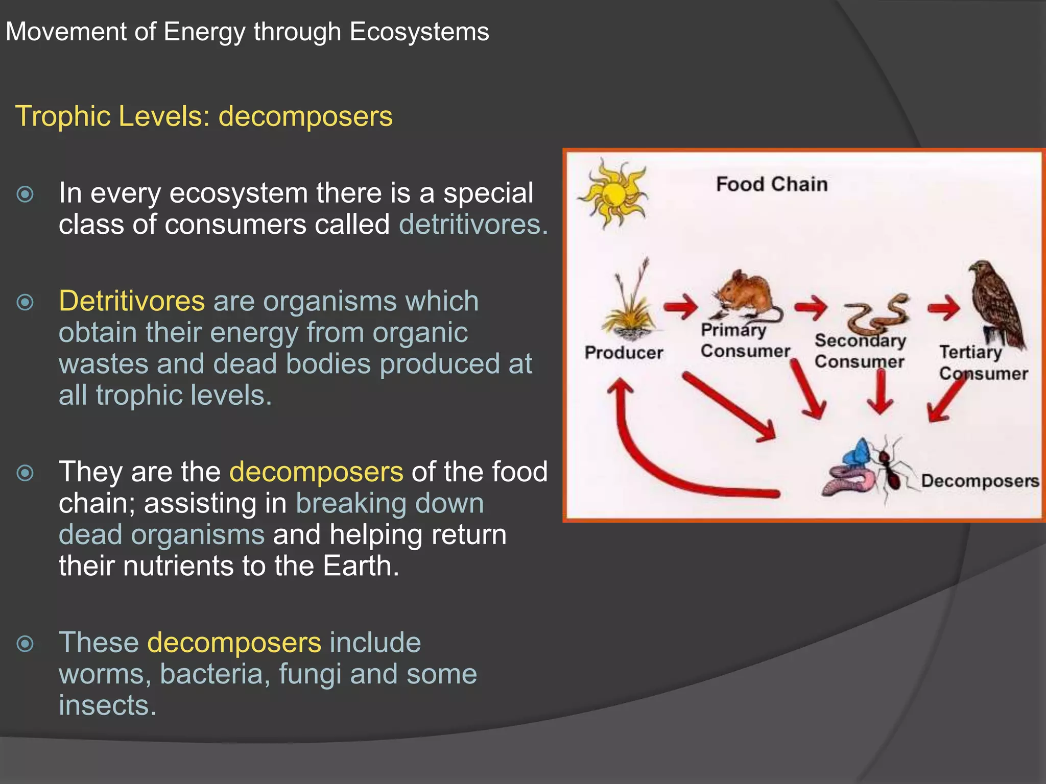 Movement of Energy through EcosystemsTrophic Levels: decomposersIn every ecosystem there is a special class of consumers called detritivores.Detritivoresare organisms which obtain their energy from organic wastes and dead bodies produced at all trophic levels.They are the decomposers of the food chain; assisting in breaking down dead organisms and helping return their nutrients to the Earth.These decomposers include worms, bacteria, fungi and some insects. 
