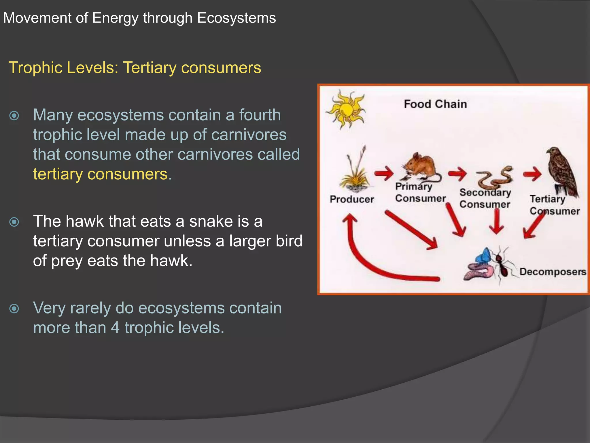 Movement of Energy through EcosystemsTrophic Levels: Tertiary consumersMany ecosystems contain a fourth trophic level made up of carnivores that consume other carnivores called tertiary consumers.The hawk that eats a snake is a tertiary consumer unless a larger bird of prey eats the hawk.Very rarely do ecosystems contain more than 4 trophic levels.