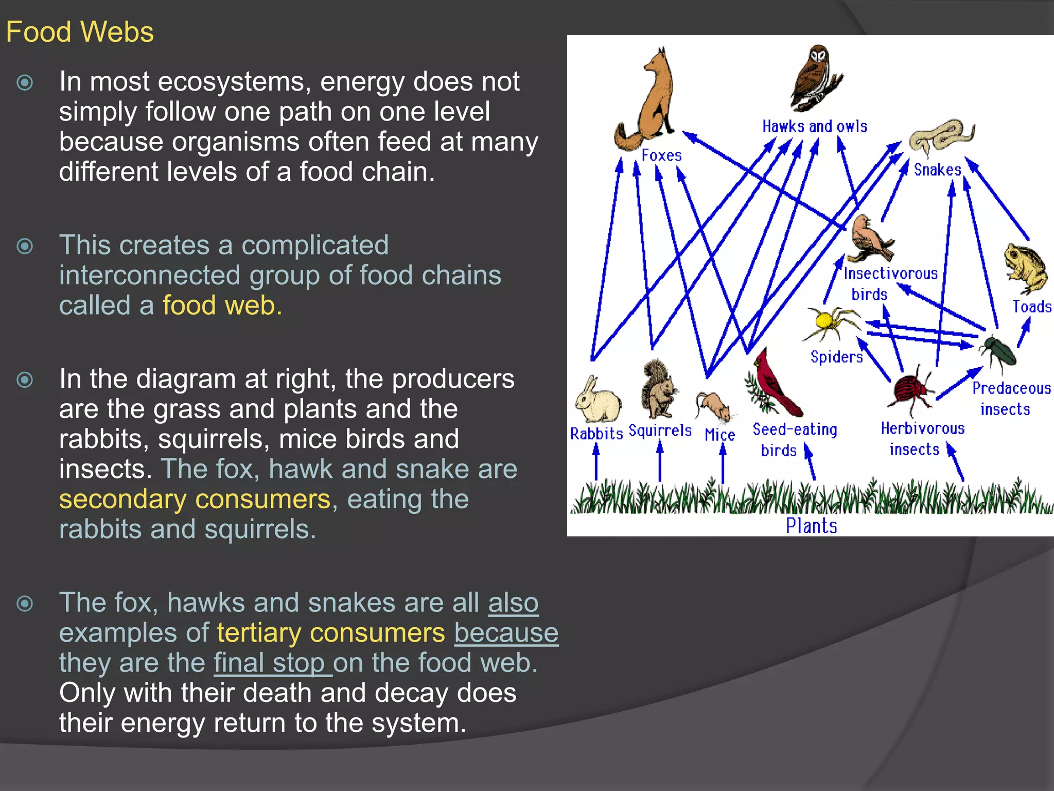 Food WebsIn most ecosystems, energy does not simply follow one path on one level because organisms often feed at many different levels of a food chain.This creates a complicated interconnected group of food chains called a food web.In the diagram at right, the producers are the grass and plants and the rabbits, squirrels, mice birds and insects. The fox, hawk and snake are secondary consumers, eating the rabbits and squirrels.The fox, hawks and snakes are all also examples of tertiary consumers because they are the final stop on the food web. Only with their death and decay does their energy return to the system.