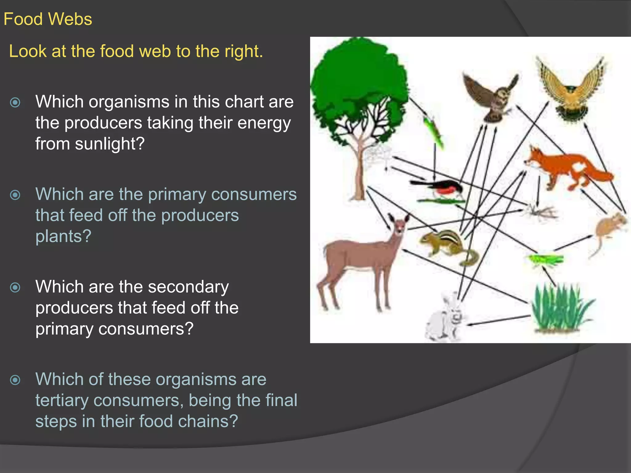 Food WebsLook at the food web to the right.Which organisms in this chart are the producers taking their energy from sunlight?Which are the primary consumers that feed off the producers plants?Which are the secondary producers that feed off the primary consumers?Which of these organisms are tertiary consumers, being the final steps in their food chains?