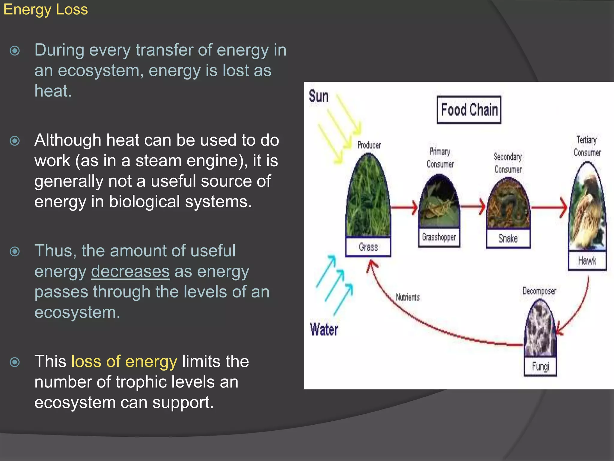 Energy LossDuring every transfer of energy in an ecosystem, energy is lost as heat.Although heat can be used to do work (as in a steam engine), it is generally not a useful source of energy in biological systems.Thus, the amount of useful energy decreases as energy passes through the levels of an ecosystem.This loss of energy limits the number of trophic levels an ecosystem can support.