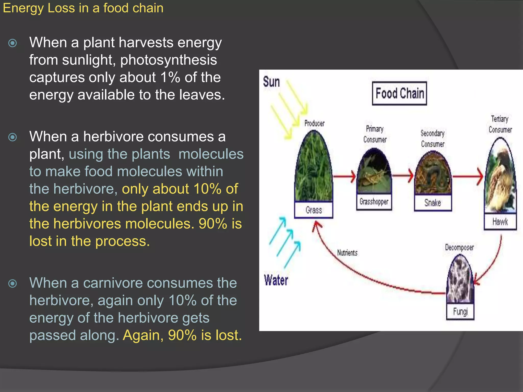 Energy Loss in a food chainWhen a plant harvests energy from sunlight, photosynthesis captures only about 1% of the energy available to the leaves. When a herbivore consumes a plant, using the plants  molecules to make food molecules within the herbivore, only about 10% of the energy in the plant ends up in the herbivores molecules. 90% is lost in the process.When a carnivore consumes the herbivore, again only 10% of the energy of the herbivore gets passed along. Again, 90% is lost.