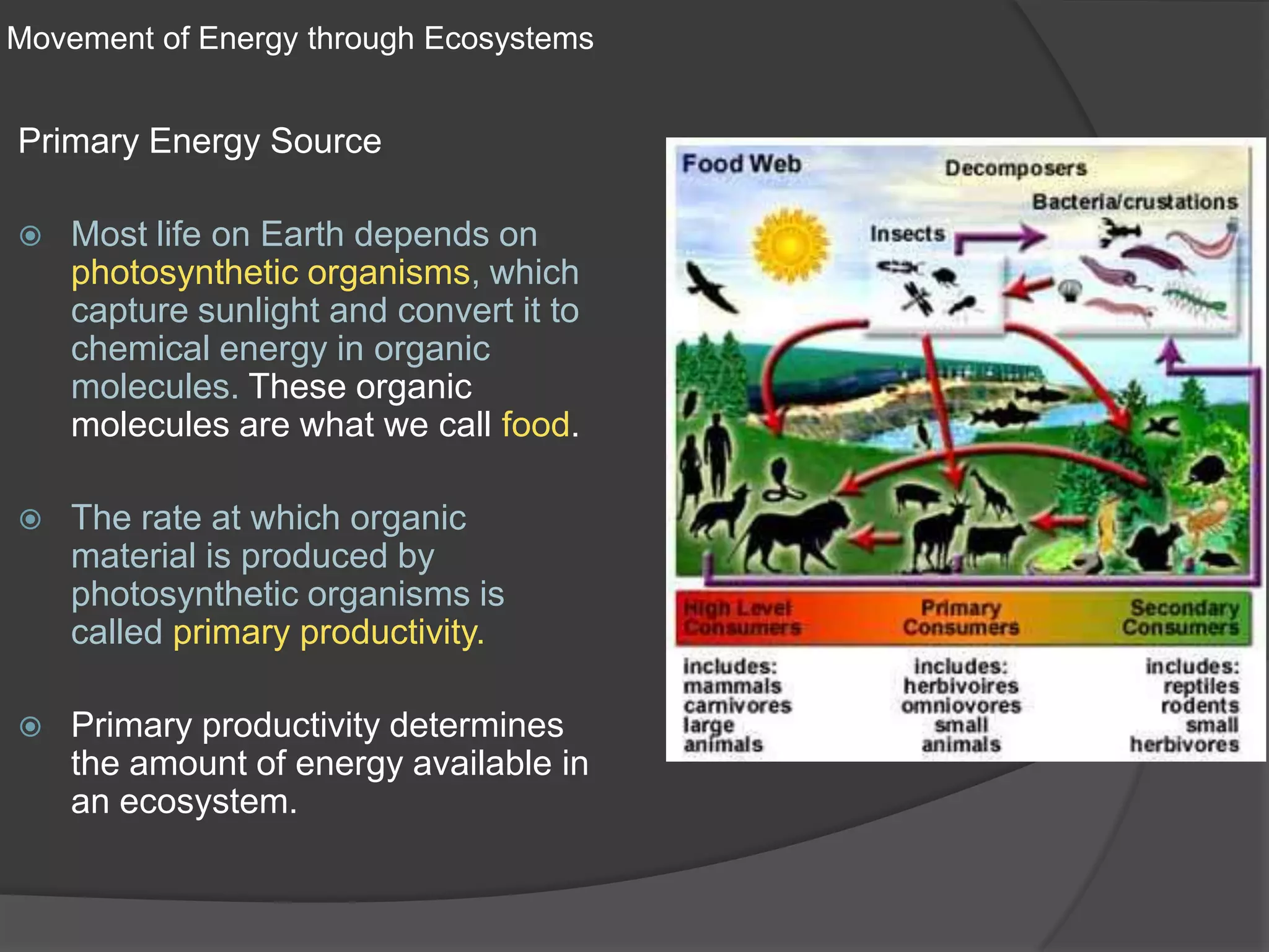 Movement of Energy through EcosystemsPrimary Energy SourceMost life on Earth depends on photosynthetic organisms, which capture sunlight and convert it to chemical energy in organic molecules. These organic molecules are what we call food.The rate at which organic material is produced by photosynthetic organisms is called primary productivity.Primary productivity determines the amount of energy available in an ecosystem.