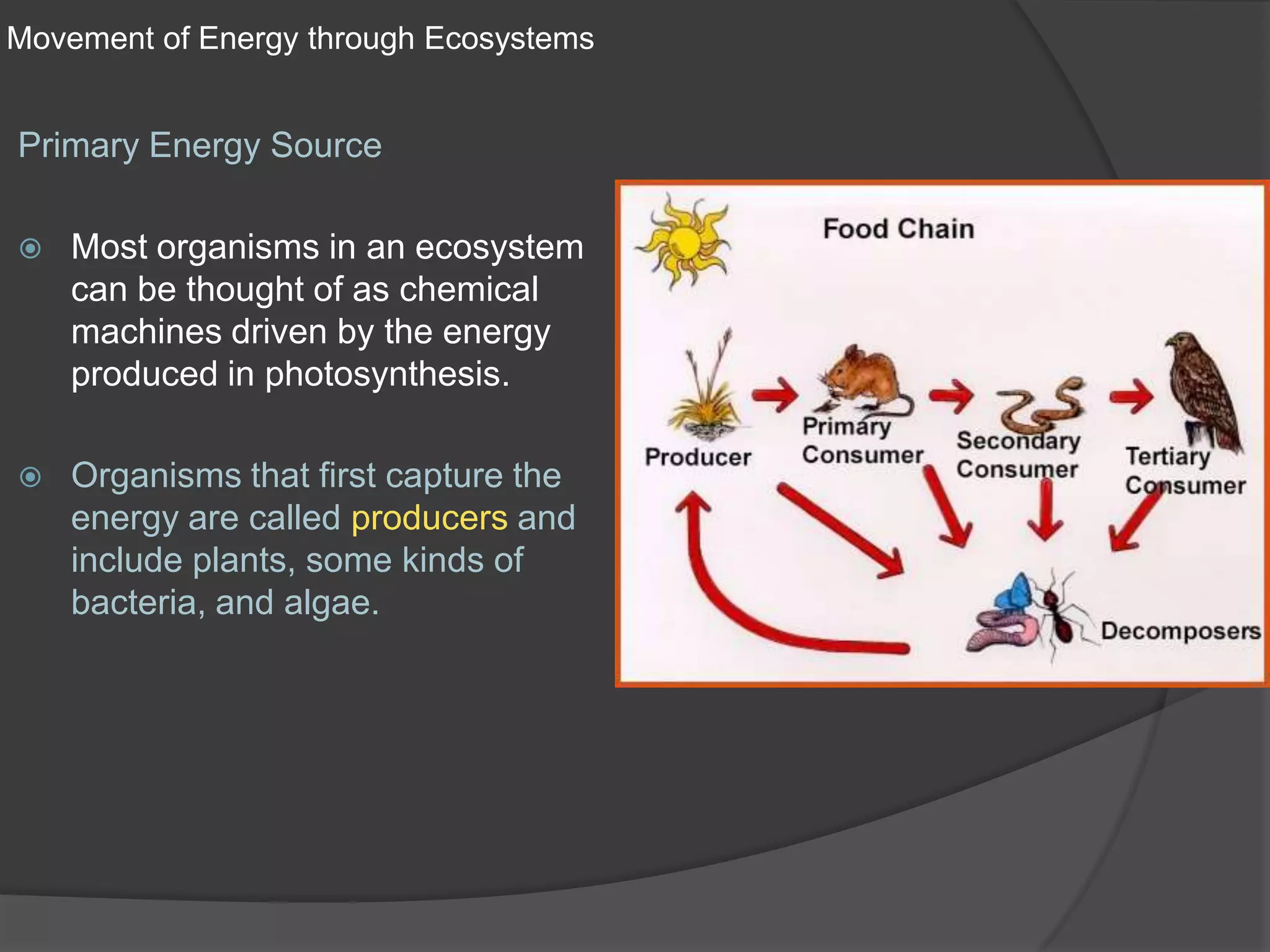 Movement of Energy through EcosystemsPrimary Energy SourceMost organisms in an ecosystem can be thought of as chemical machines driven by the energy produced in photosynthesis.Organisms that first capture the energy are called producers and  include plants, some kinds of bacteria, and algae.